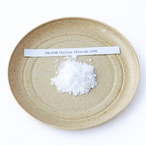 Cholin Chlorid Silicon Carrier krmná třída 50%