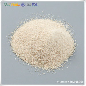 Menadione nikotinamid bisulfite (vitamin K3 MNB)